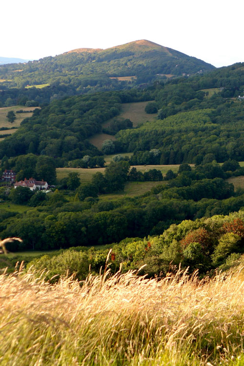 Rural landscape around our office