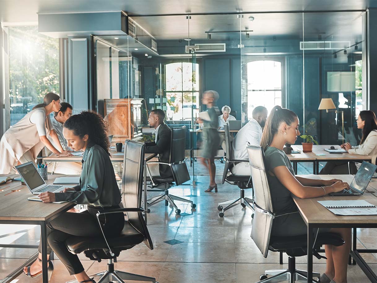 workers in an office